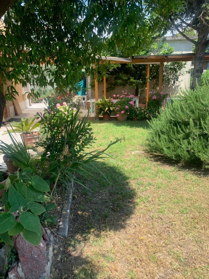 מרינה די מסה Casa Violetta Bed & Breakfast מראה חיצוני תמונה