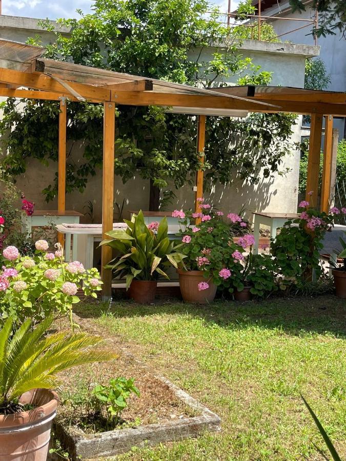 מרינה די מסה Casa Violetta Bed & Breakfast מראה חיצוני תמונה